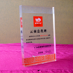 專業亞克力獎牌定制 杭州狼騰廣告設計制作竭誠服務與品質保證